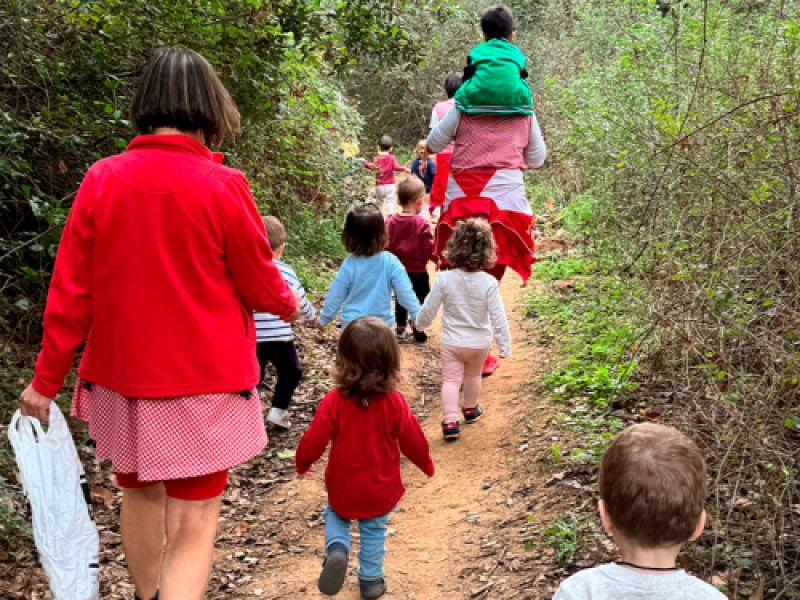 excursiones excursiones